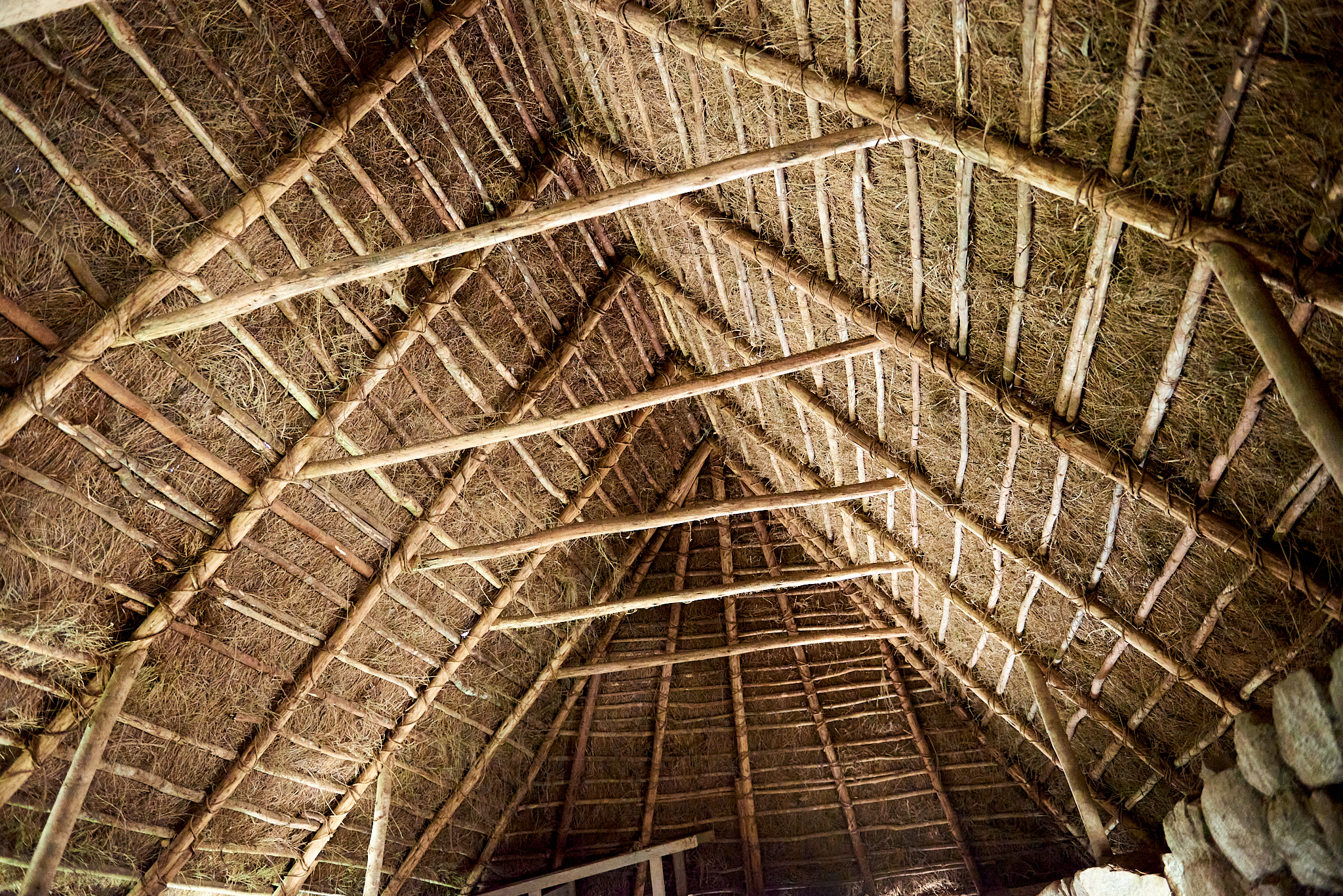 20200308 679 [페루] 마추픽추